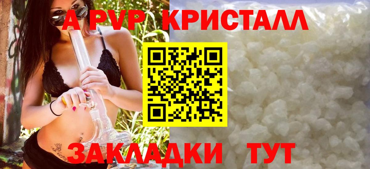 Alfa_PVP СК Куйбышев