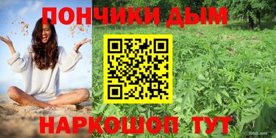 PSILOCYBIN Шахты