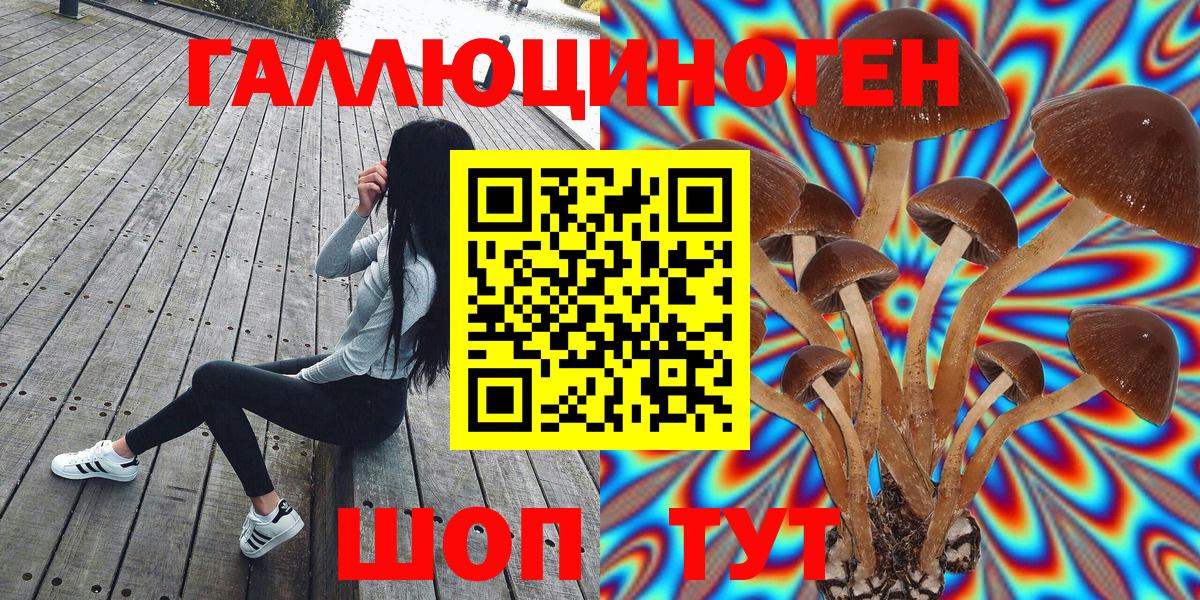 Галлюциногенные грибы GOLDEN TEACHER Куйбышев