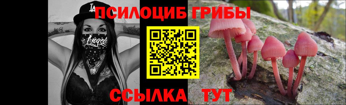 Галлюциногенные грибы Psilocybine cubensis  Вход с VPN  Куйбышев  Галлюциногенные грибы прущие грибы 